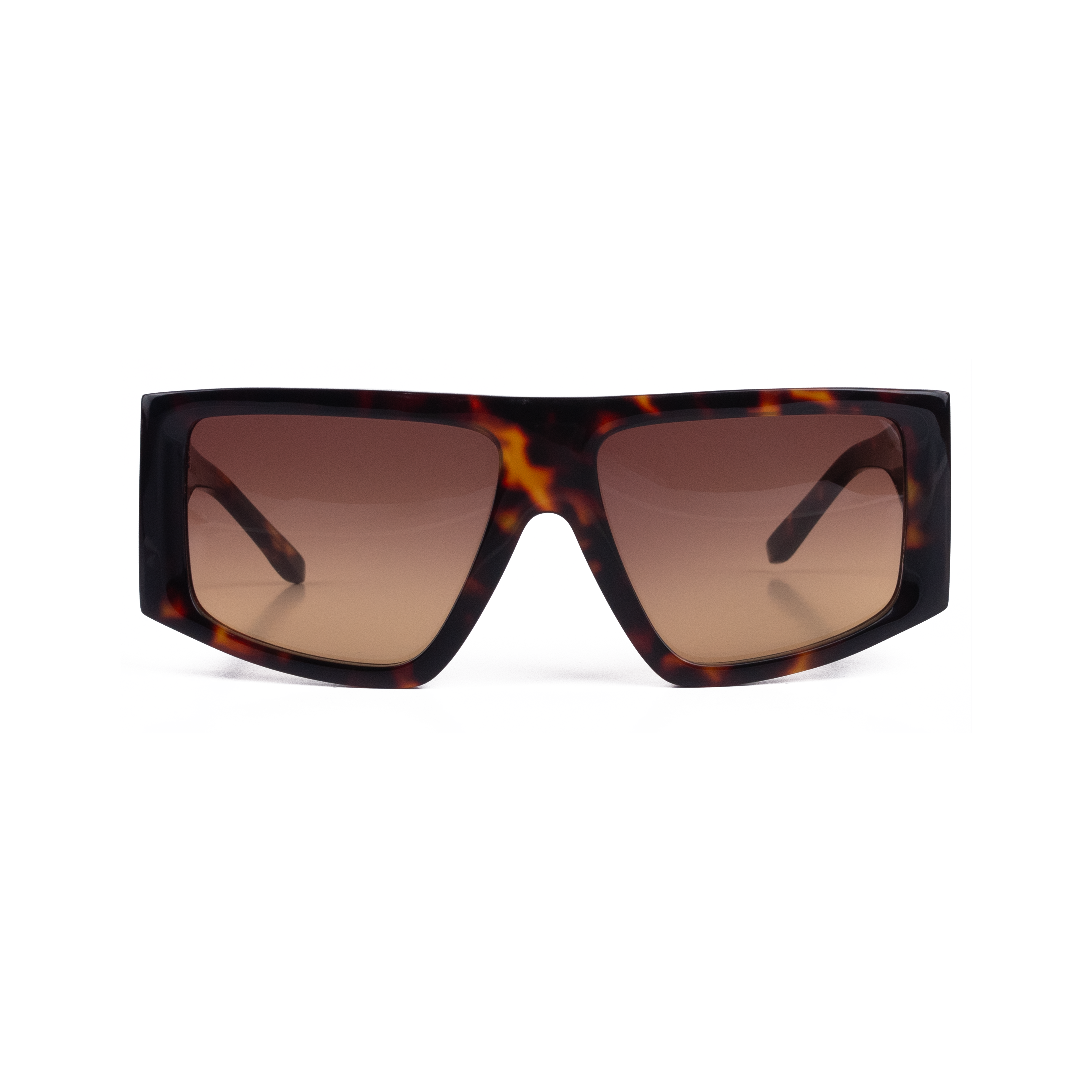 KINGFISHER in Matte Tort | SUHU Sunglasses – Sun Hunters