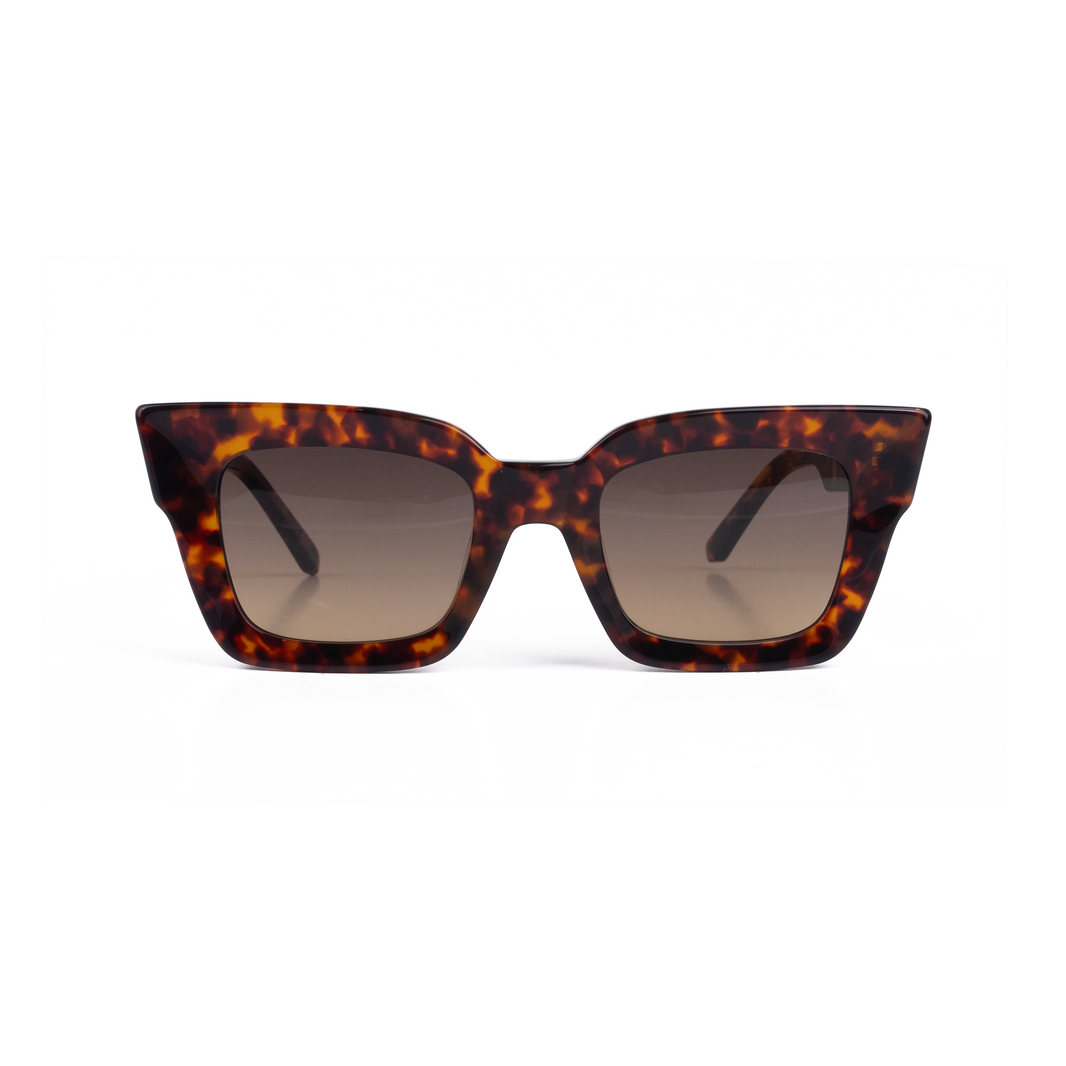 RIO – Sun Hunters